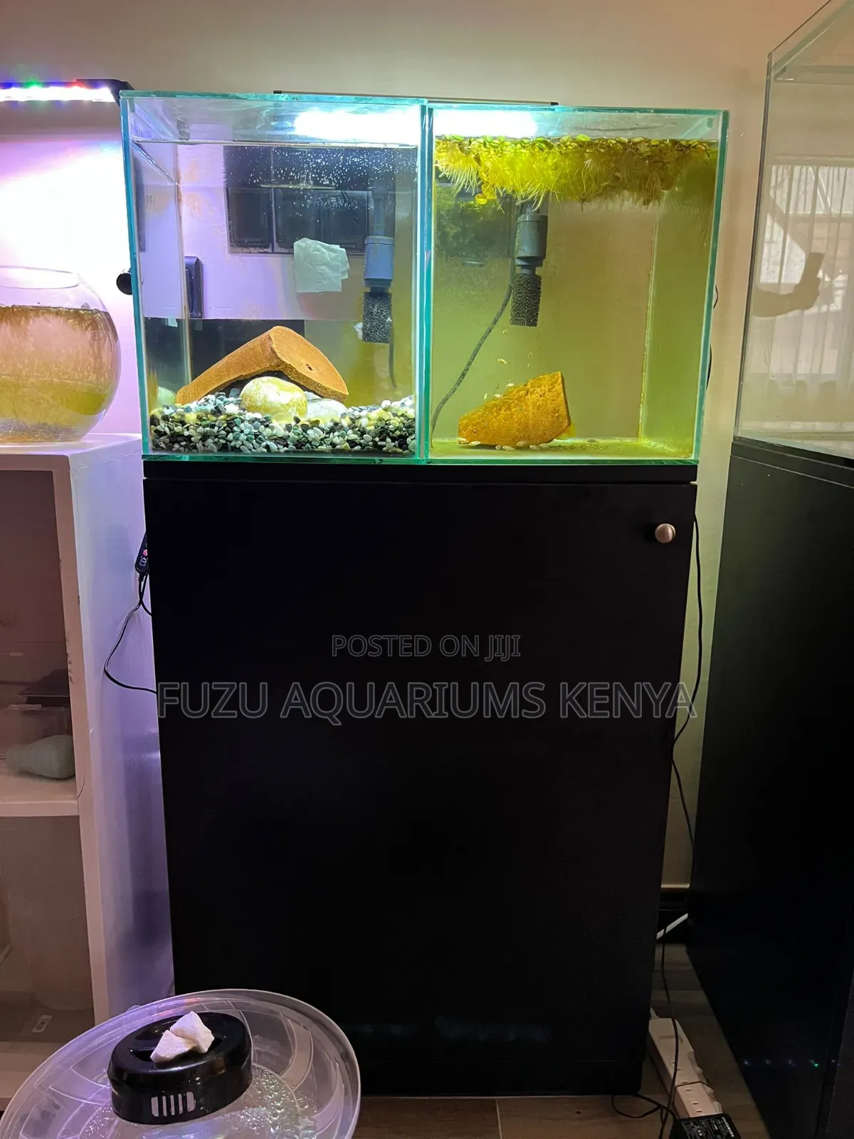 Breeding Tanks Aquarium