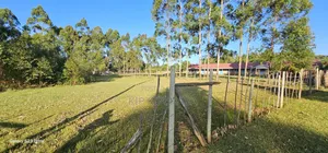 Prime 1⁄2 Acre Plot For Sale In Kipkorgot Eldoret