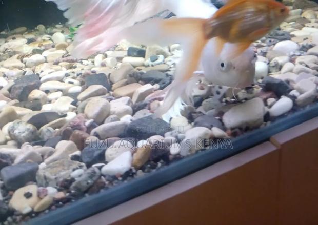 Assorted Aquarium Rocks