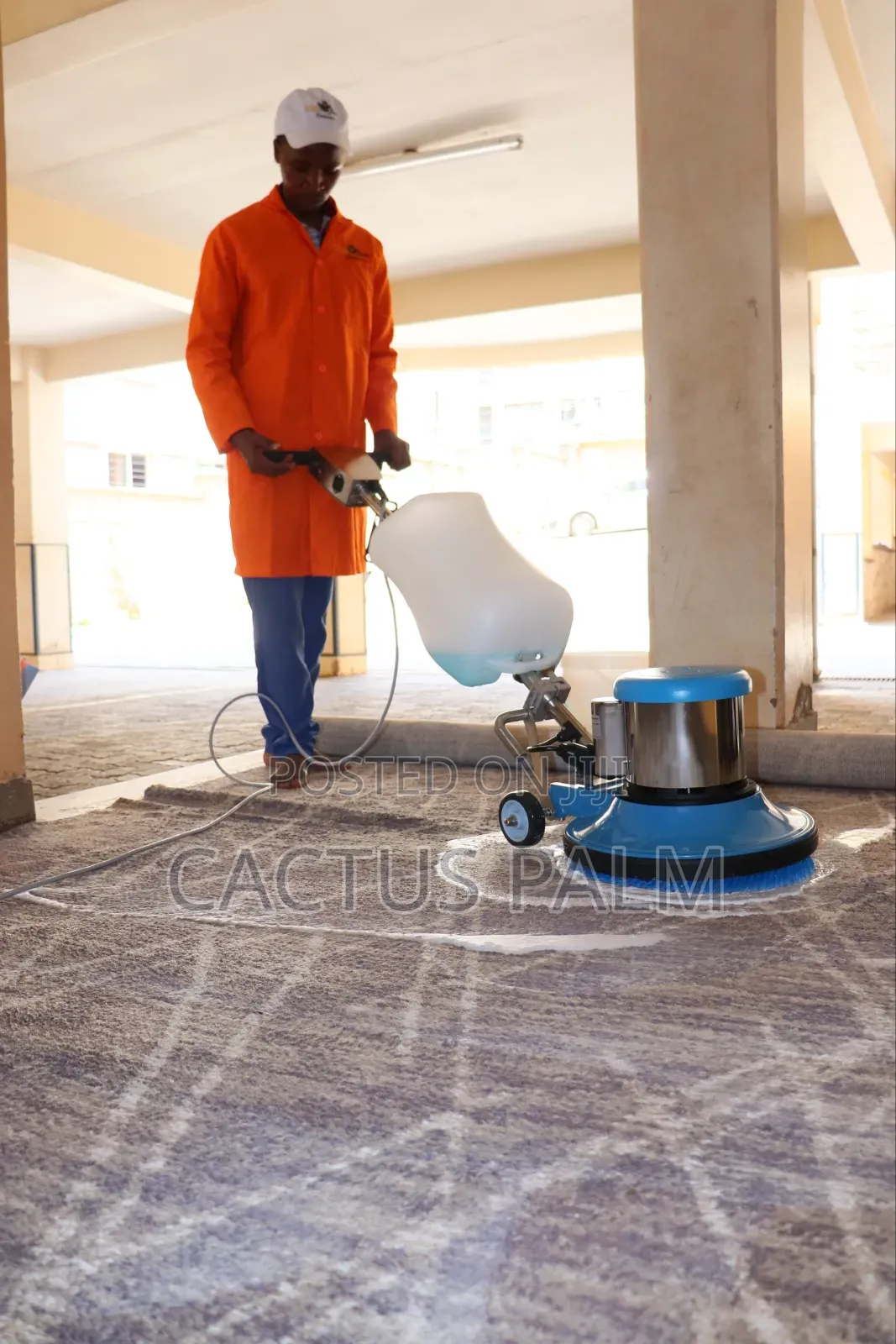 Tidy Bee Cleaners