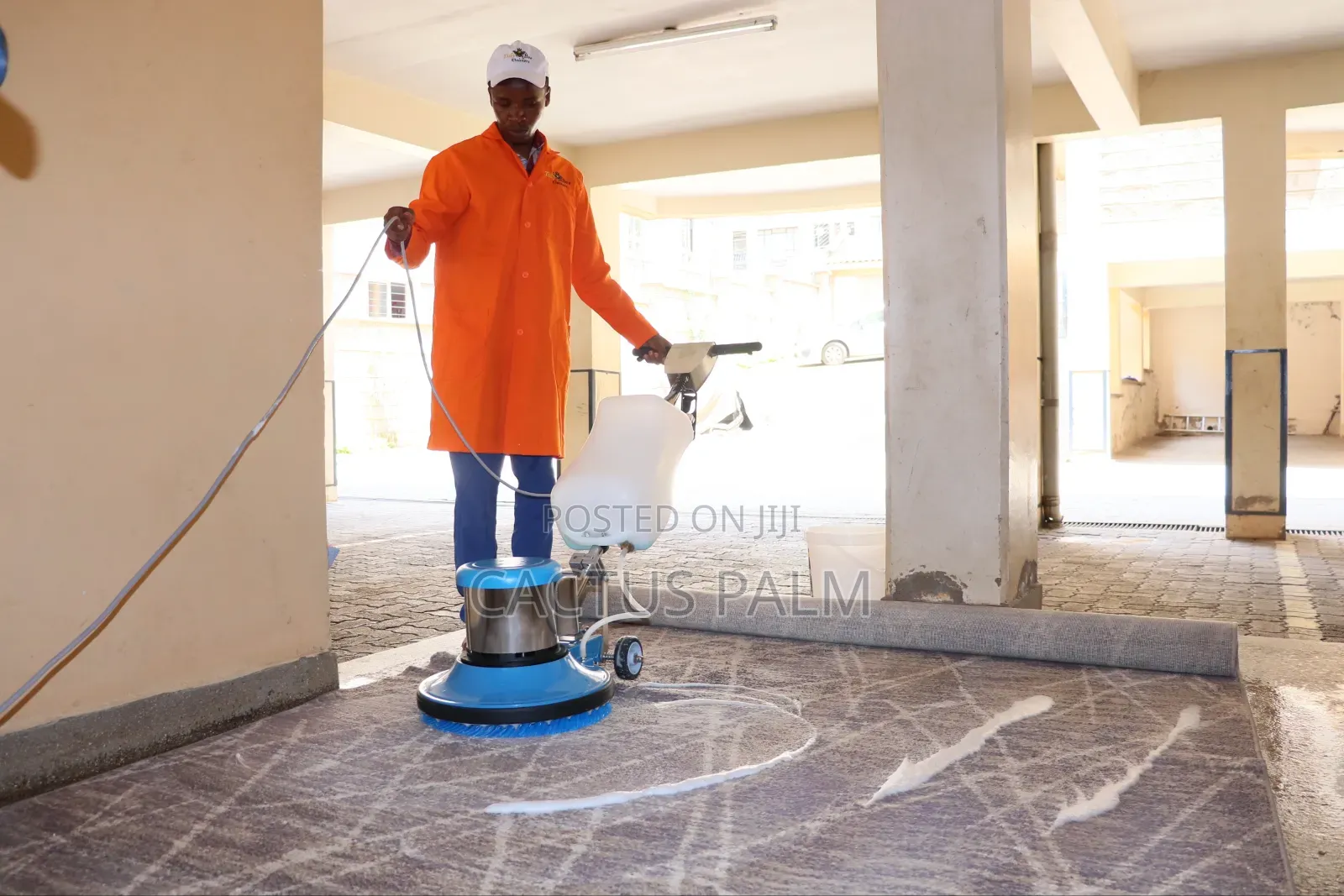 Tidy Bee Cleaners