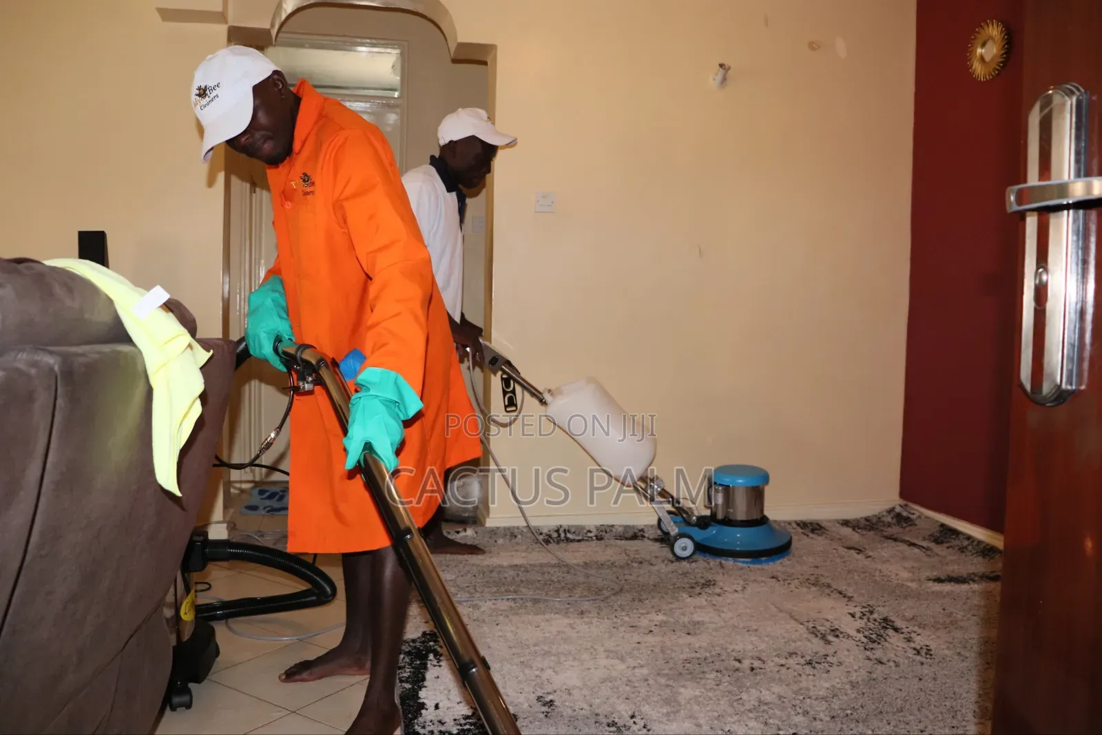 Tidy Bee Cleaners