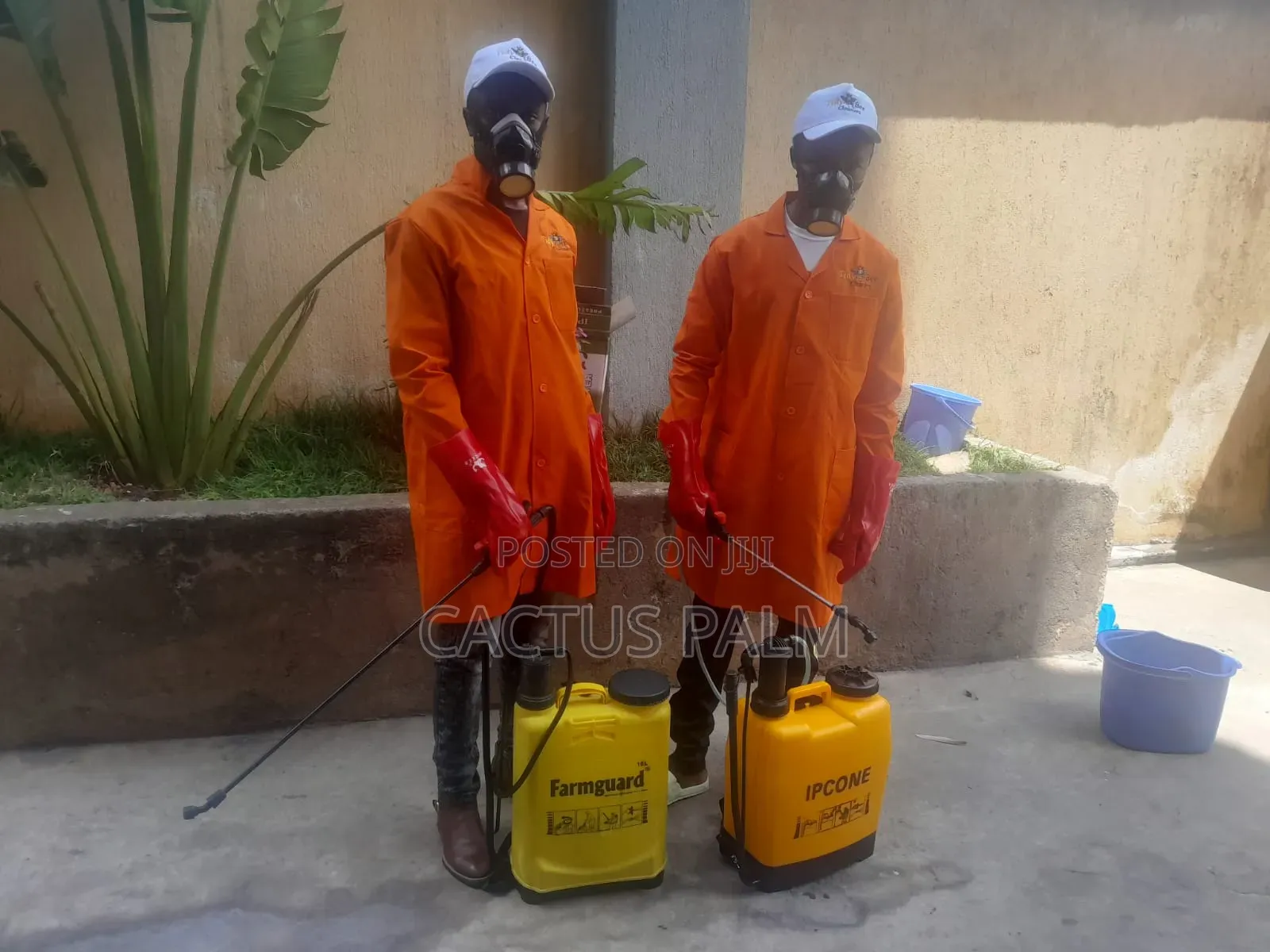 Tidy Bee Cleaners