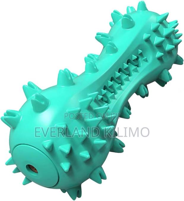 Dog Teeth Cleaning Bone Toy - main view