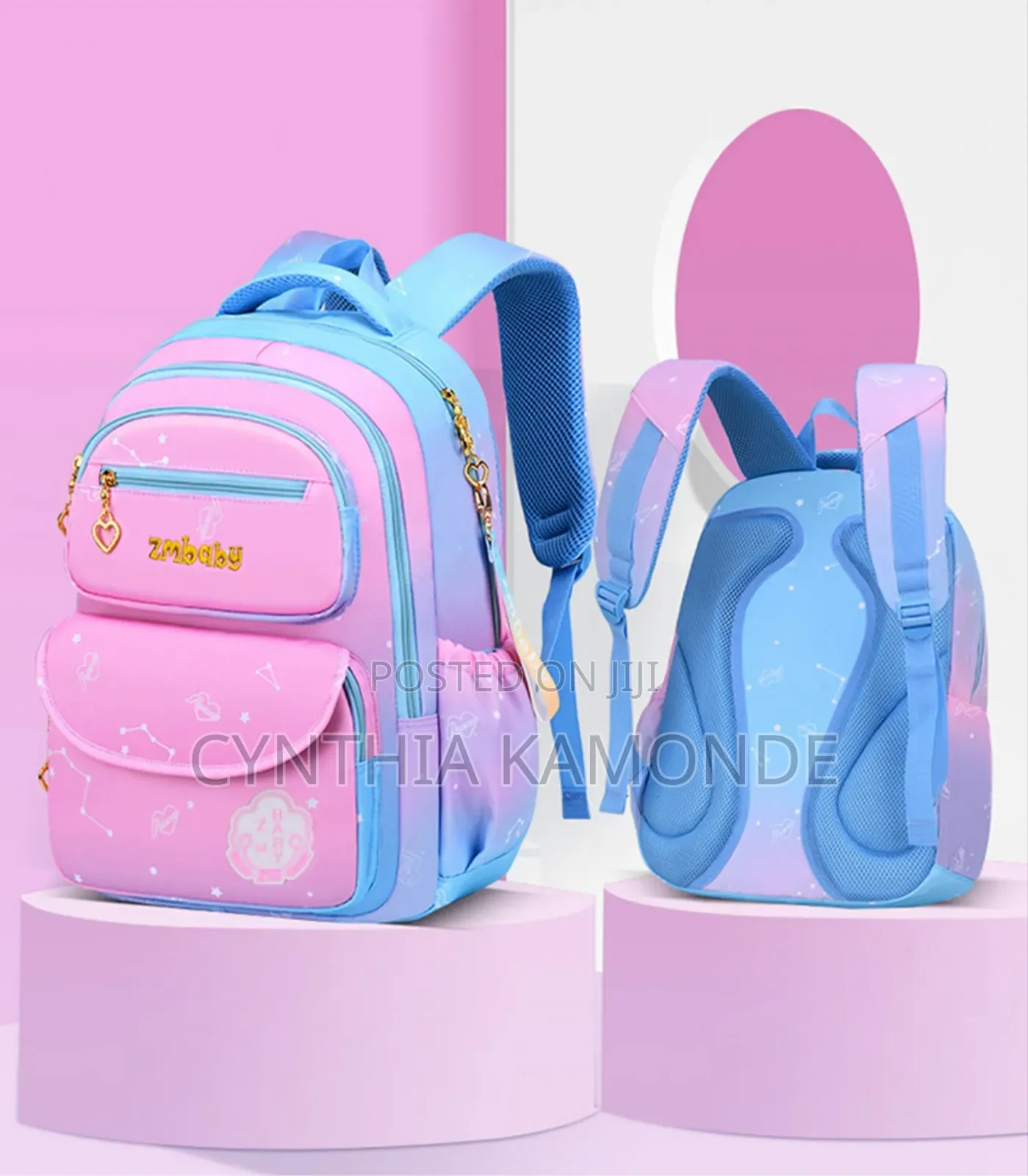 Classy Children School Bag