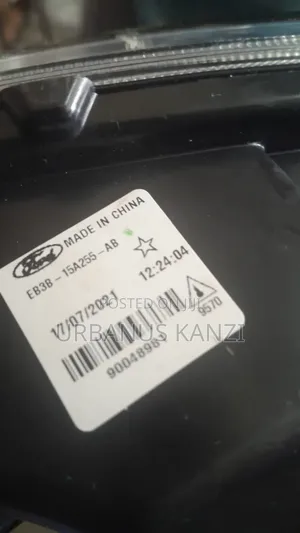 Fogliht Ford Everest 2019