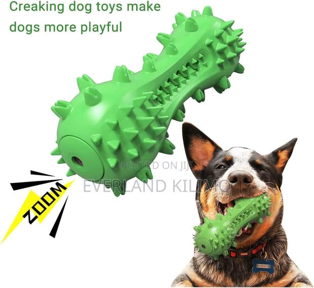 Squeaky Rubber Chew Bone Toy - main view