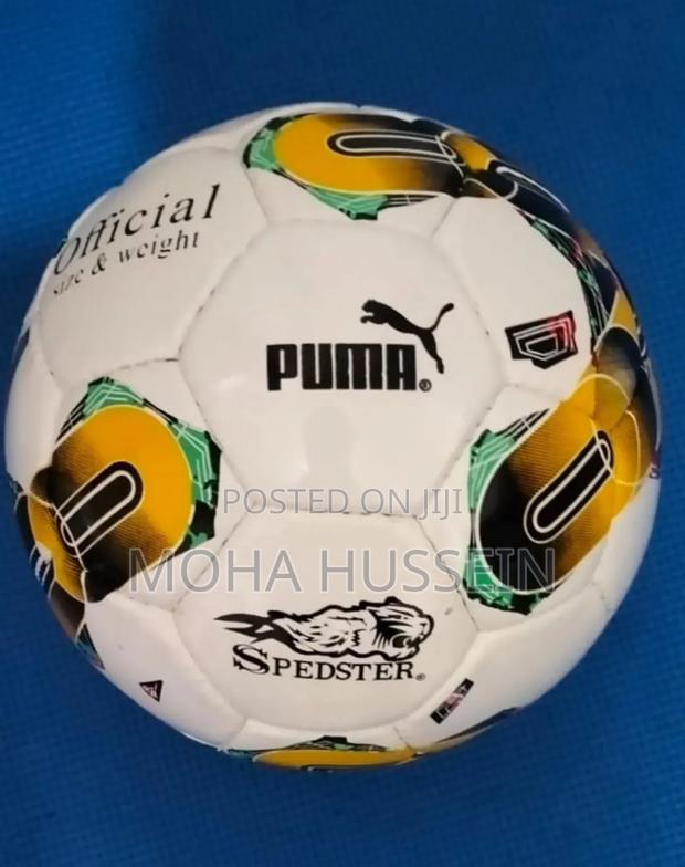 Puma Sports Soccer Footballs