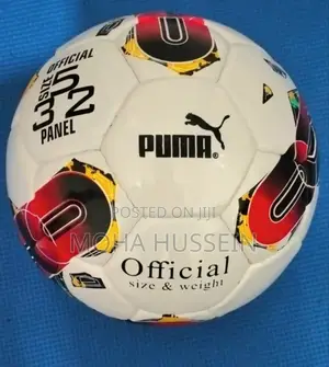 Puma Sports Soccer Footballs
