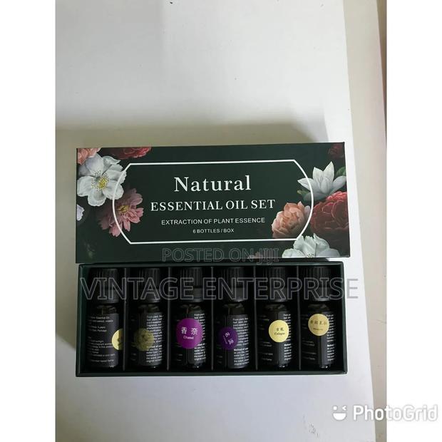 Natural Essential Oil Set of 6