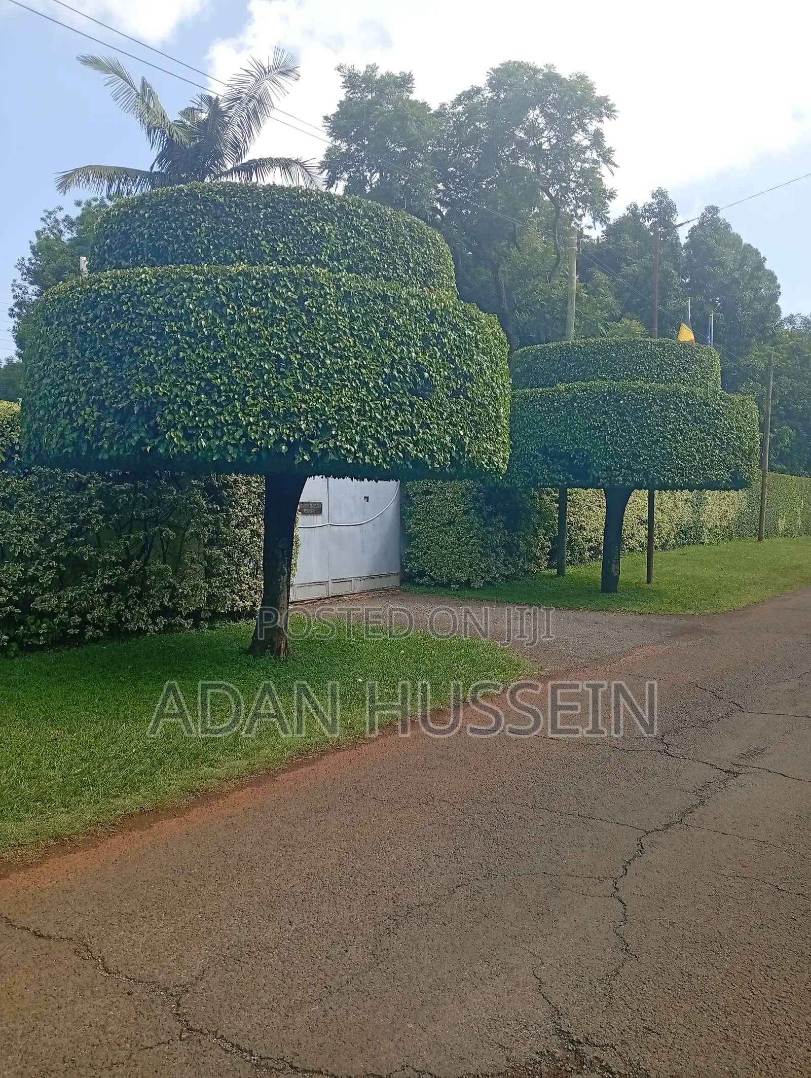 Lawn Care and Hedge Trimming Services