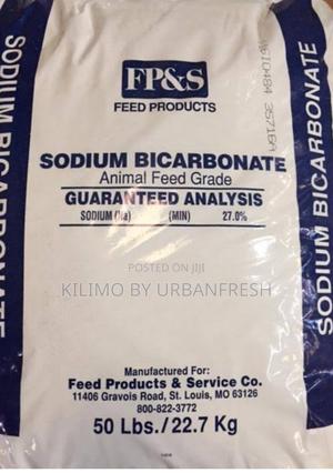 Sodium Bicarbonate / Baking Soda 1 Kg - main view
