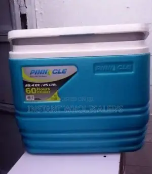 25 Litres Capacity Cooler Box
