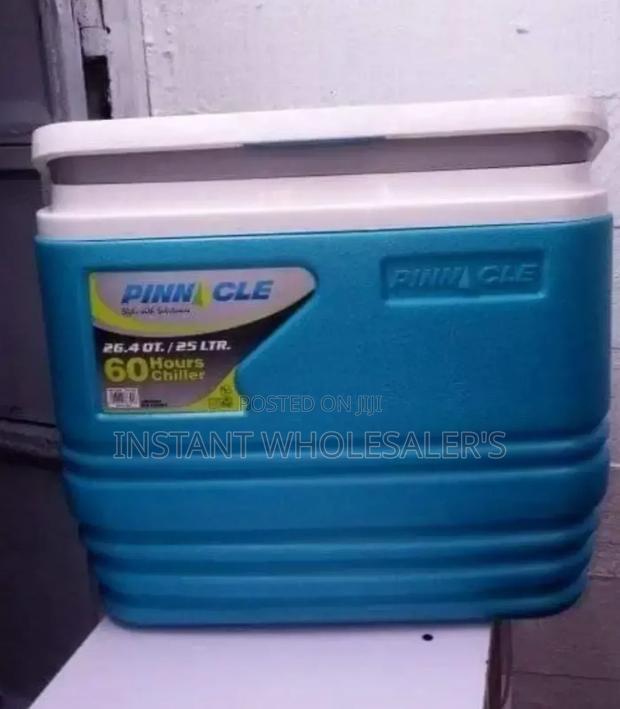 25 Litres Capacity Cooler Box