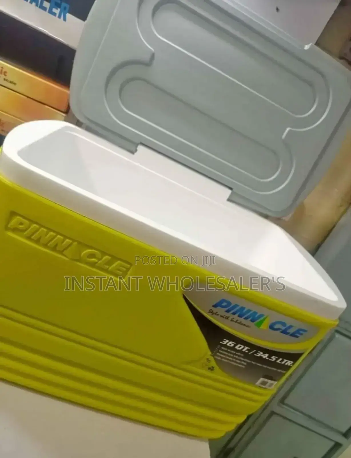 Clean Storage Cooler Box