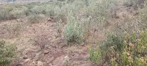 Plot for Sale in Kimuka,Ngong.