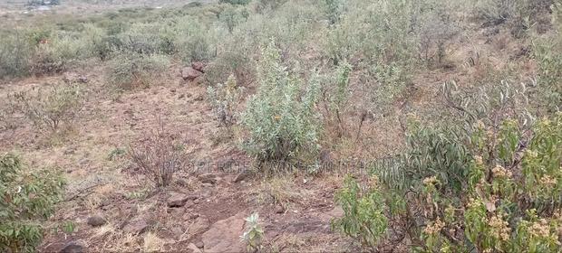 Plot for Sale in Kimuka,Ngong. - thumbnail 4