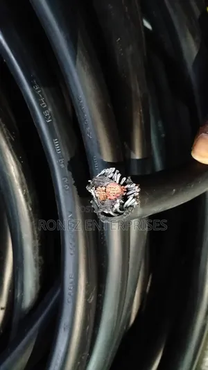 Armoured Cable 16 Mm 2 Core Copper WST
