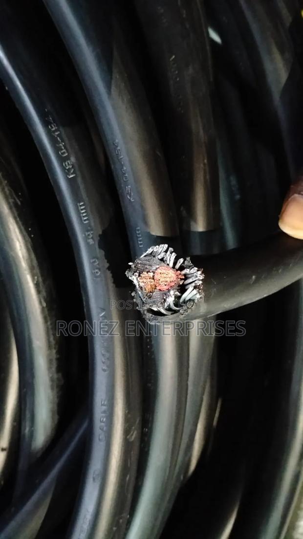 Armoured Cable 16 Mm 2 Core Copper WST - thumbnail 2