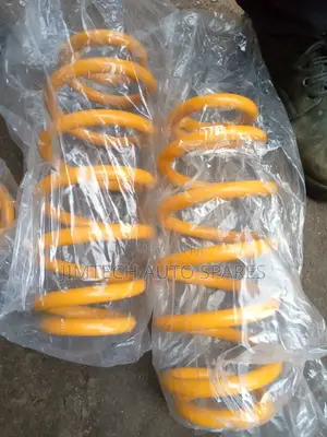 Nissan X Trail New Model Rear New Coil Springs