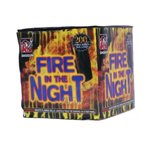16 Shots Fire in the Night Party Fireworks