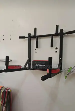 Wall Mounted Dip Pull Up Bar