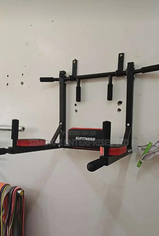 Wall Mounted Dip Pull Up Bar