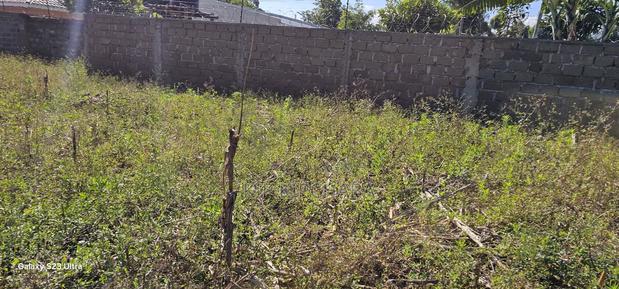 1⁄4 Plot For Sale In Blossom Elgonview Eldoret - thumbnail 4