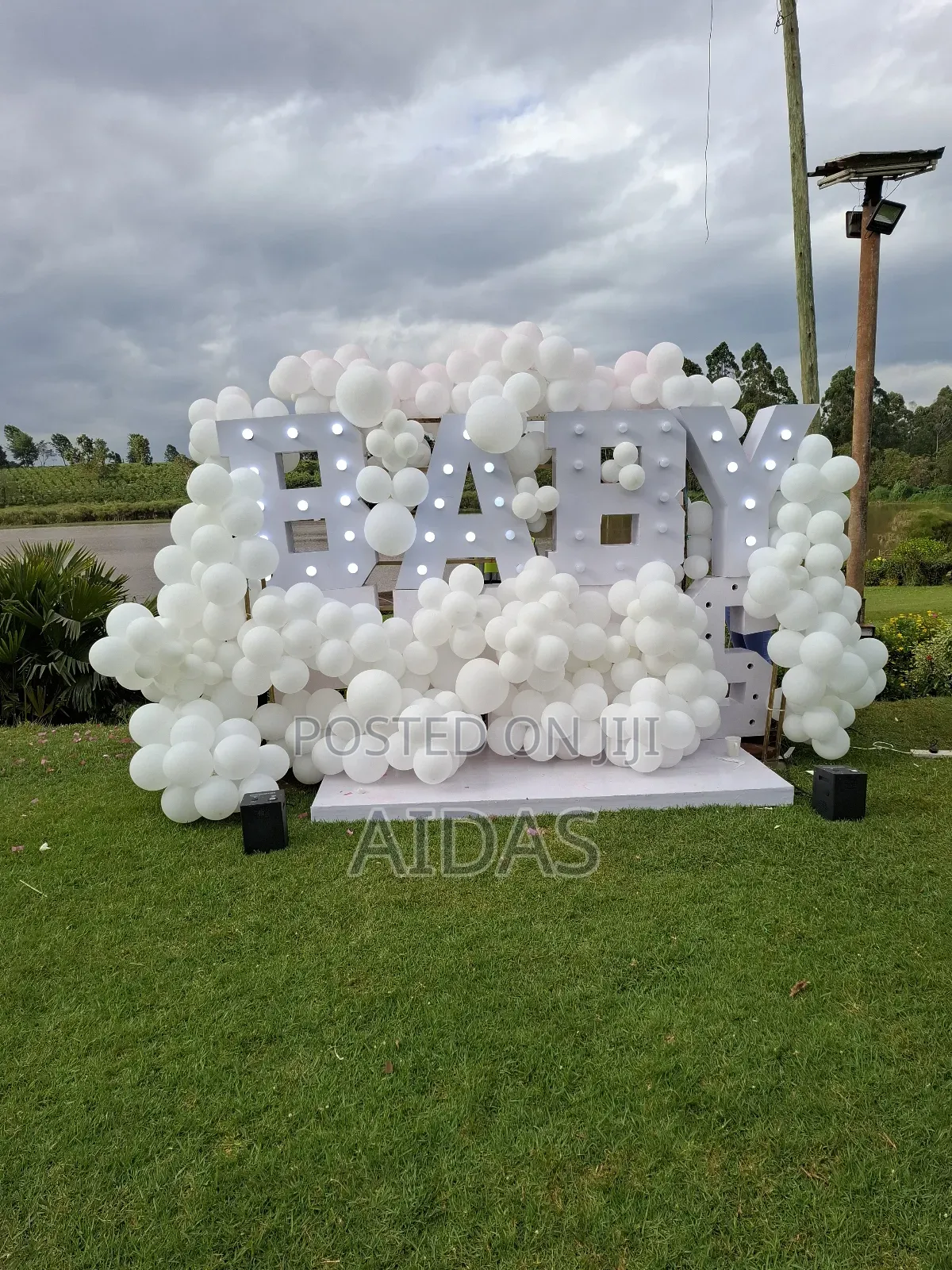 Gender Reveal Decor Set Up