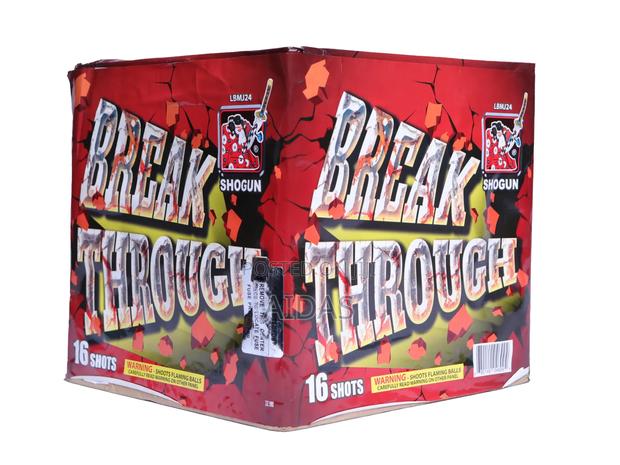 Restaurant and Club Use 16 Shots Fireworks - main view