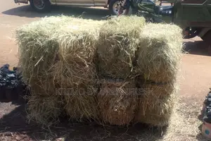 Hay Bales for Event Purchase / Hire. Batch of 10. Excl.Trans