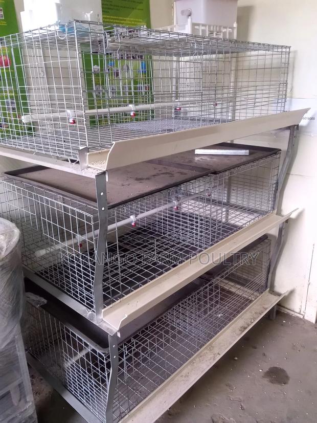 Broiler Cage - thumbnail 2