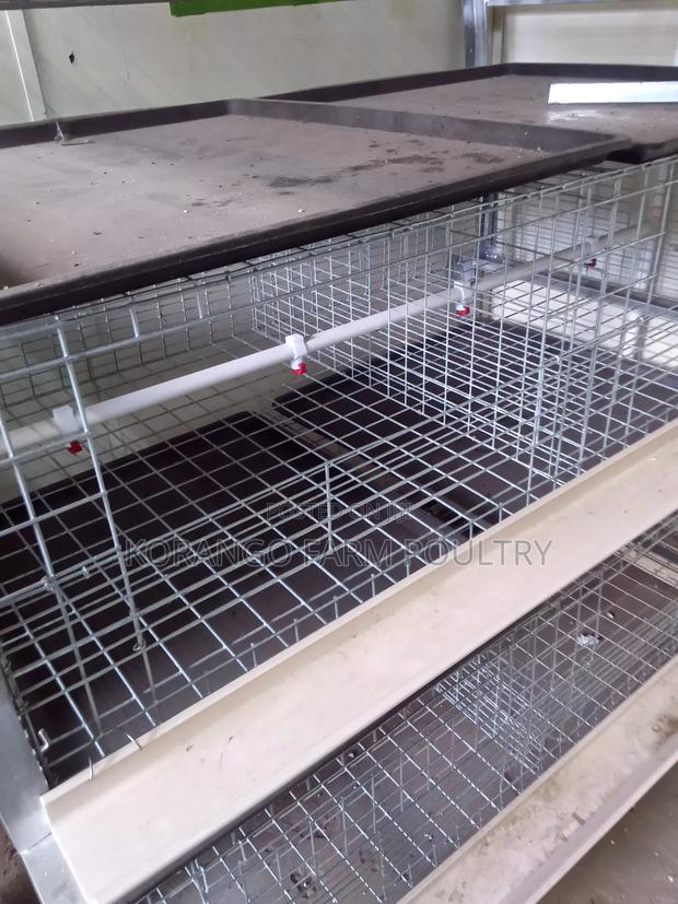 Broiler Cage - thumbnail 3