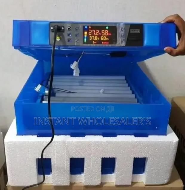 64 Eggs Capacity Incubators