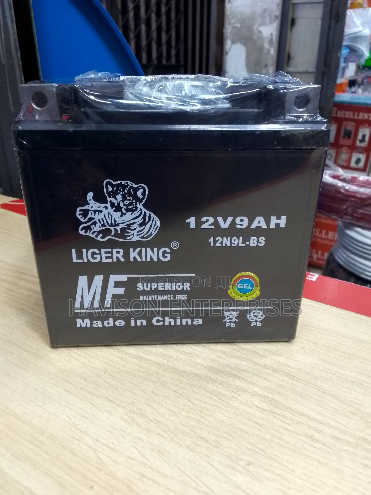 Best 12V 9AH Battery