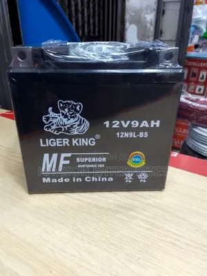 Best 12V 9AH Battery