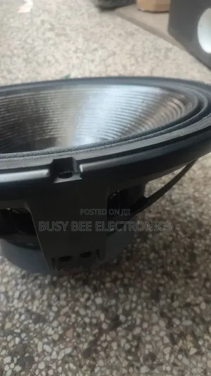 Single Coil RCF Bass Speaker