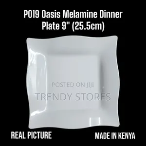 Oasis Melamine Square Dinner Plate