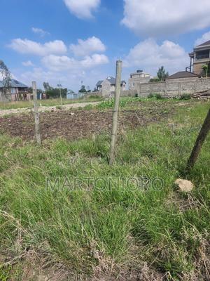 Bypass ( Corner) Kamakis - thumbnail 2