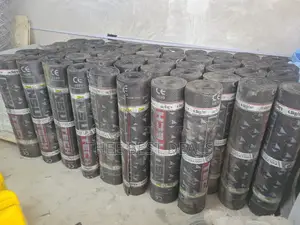 APP Membrane for Waterproofing Flatroof Gutters
