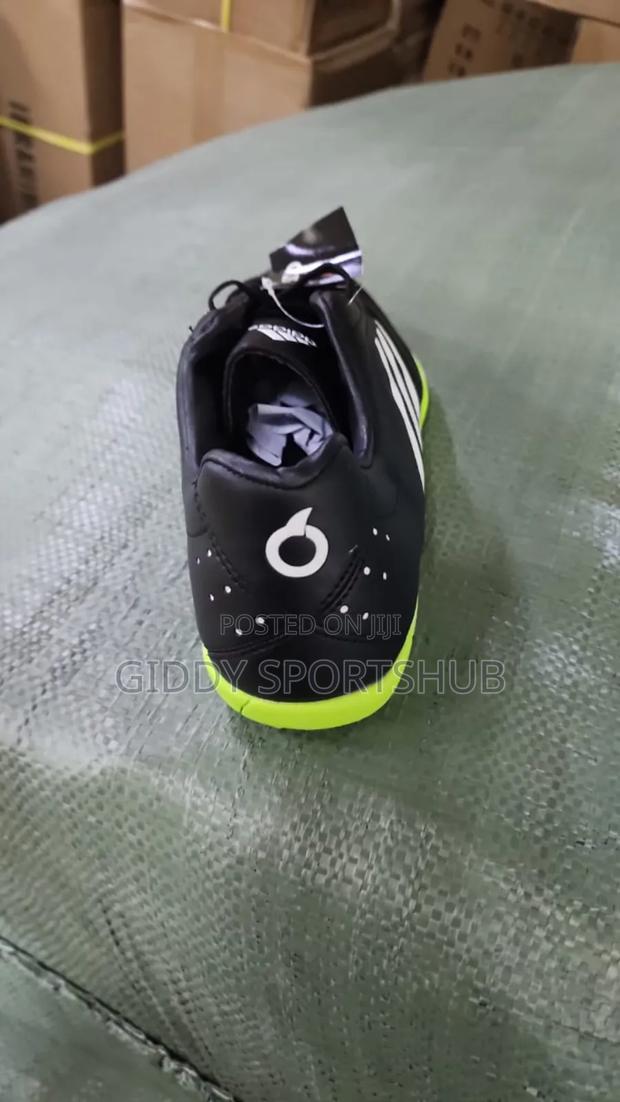 Trainer Boot - main view