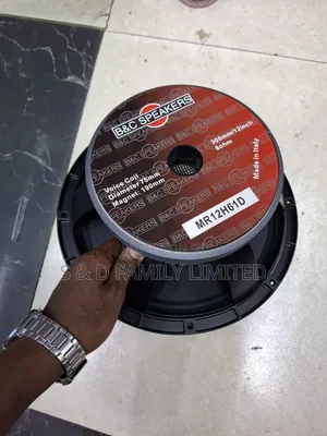 B C MR12H61D 12 Inch Naked Speaker