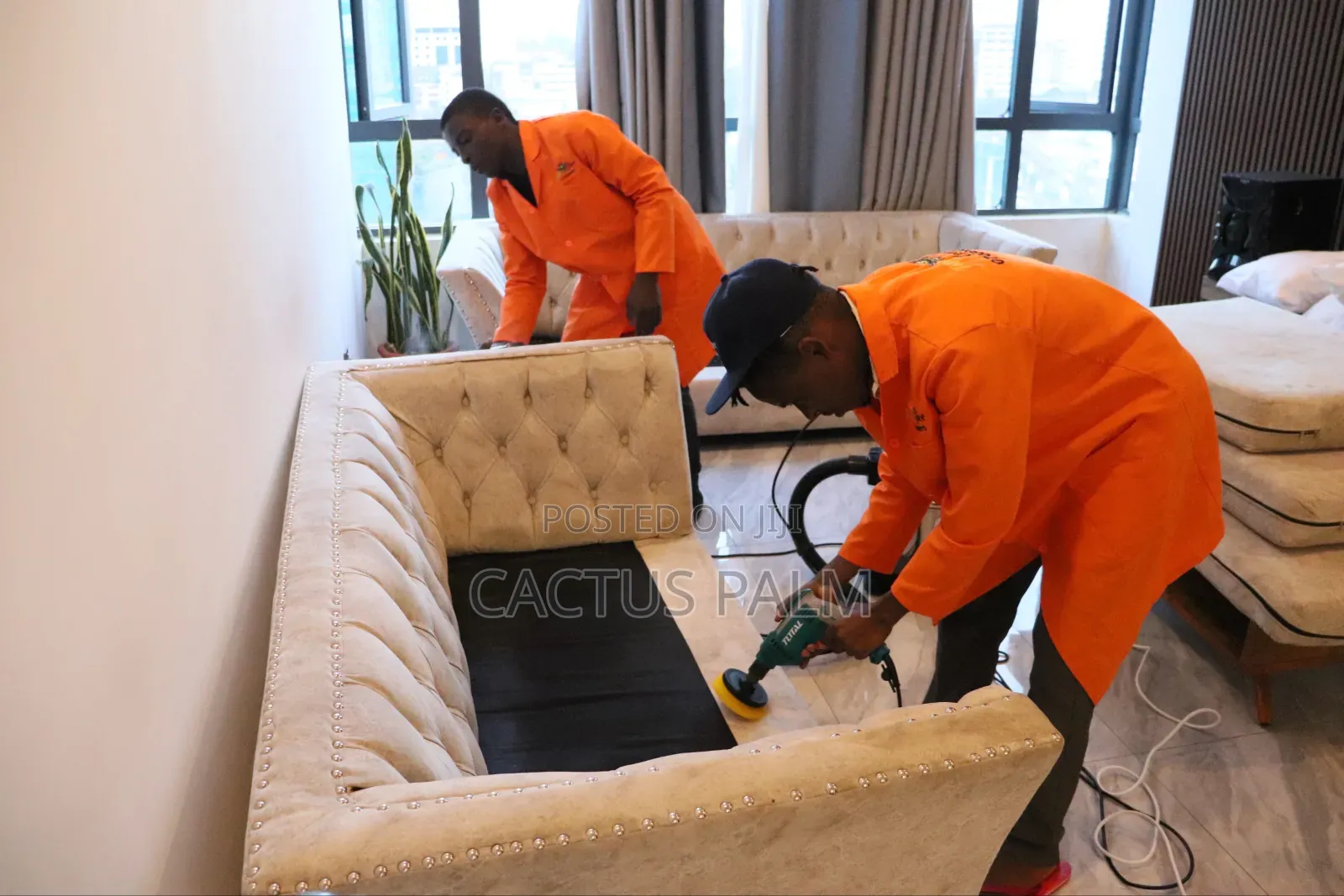 Tidy Bee Cleaners