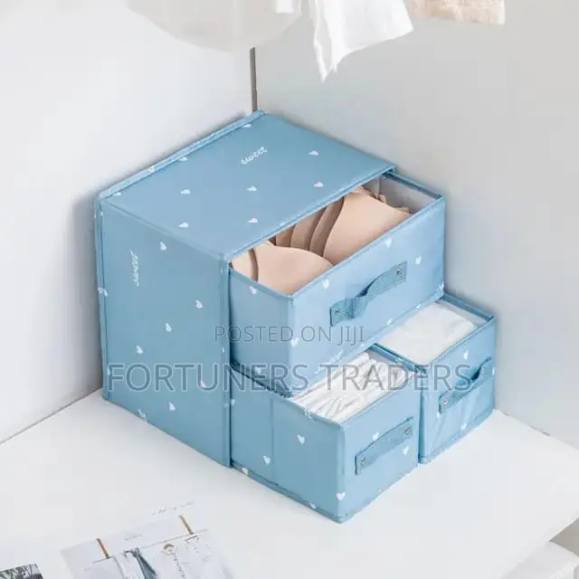 Undergarment Storage Box