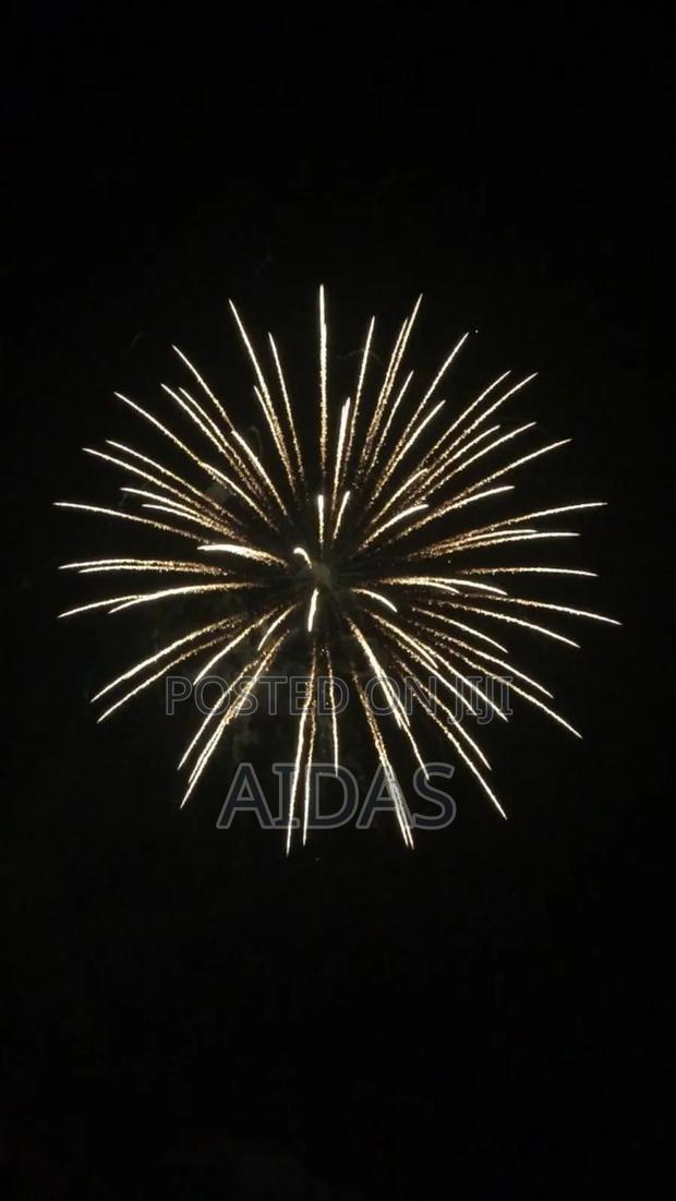 Home Use Party Fireworks - thumbnail 2