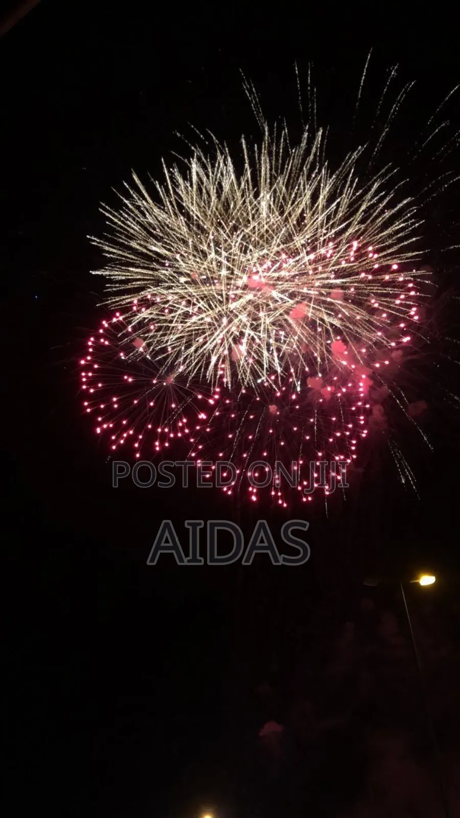 16 Shots Freedom Ride Fireworks