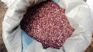 Sundried Organic Nyayo Beans - main view