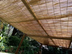 Coastal Mats Ceiling.