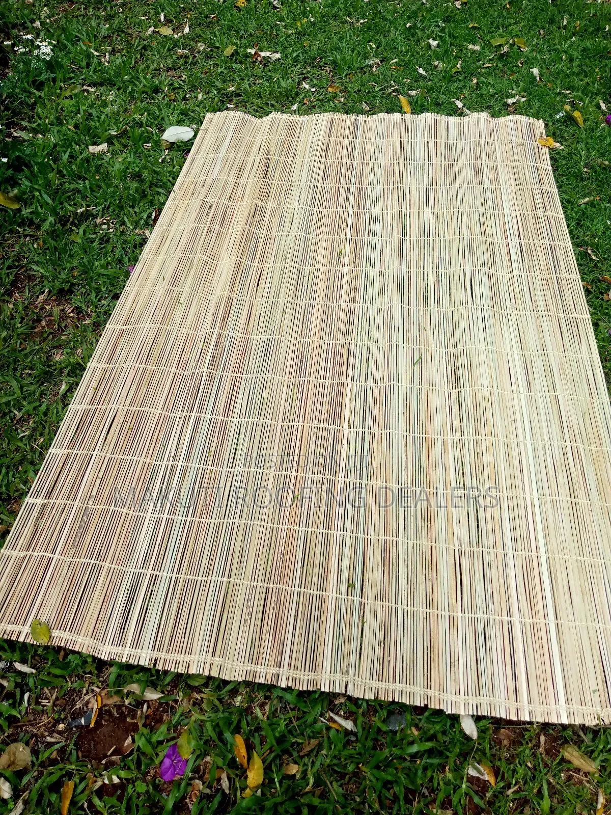 Coastal Mats Ceiling.
