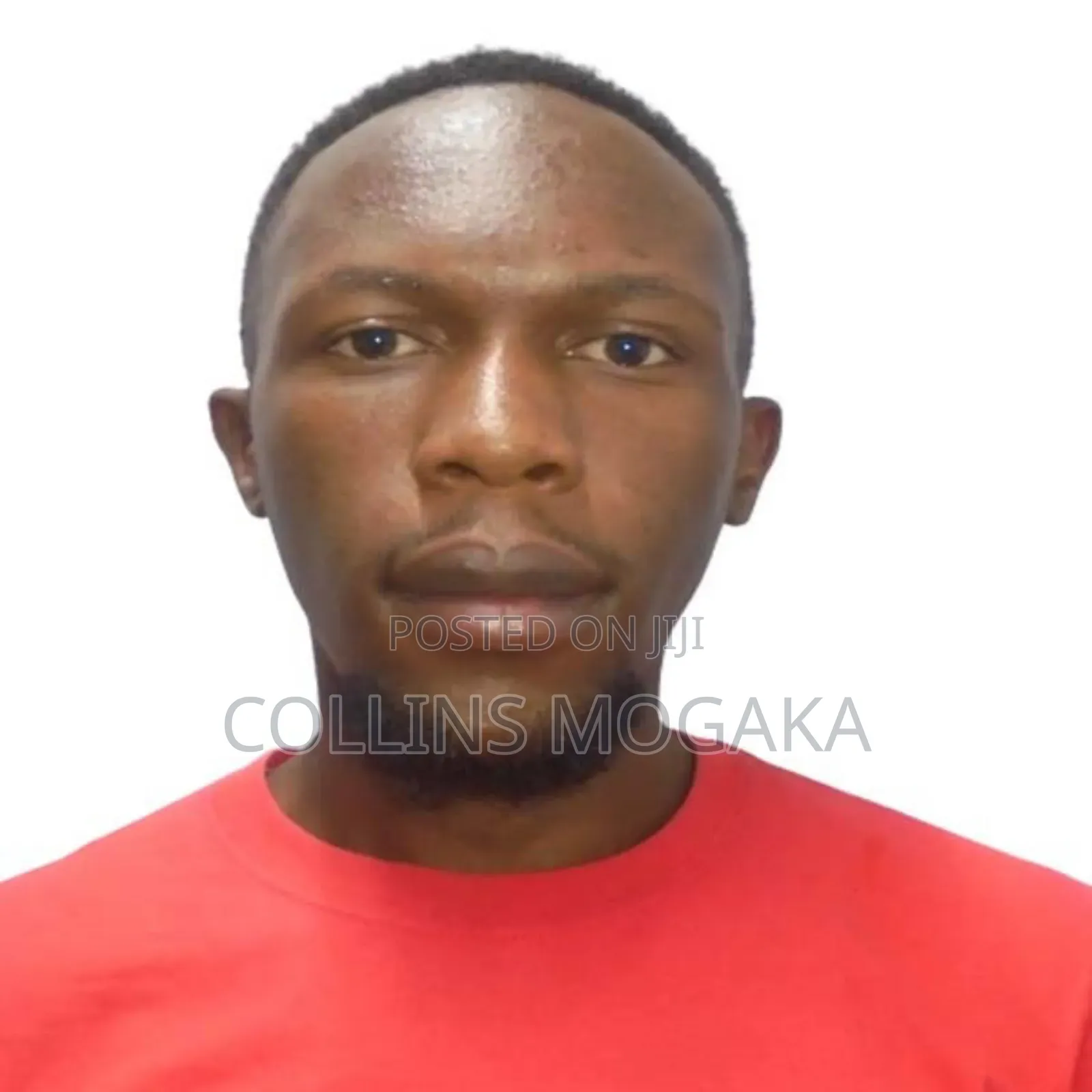 Accountant